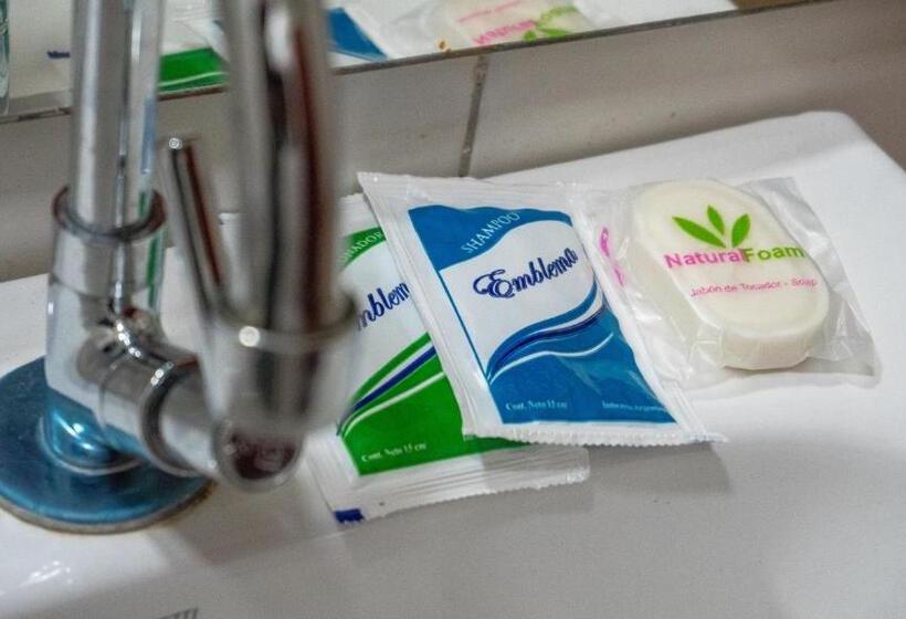 חדר סטנדרט, Steve S House