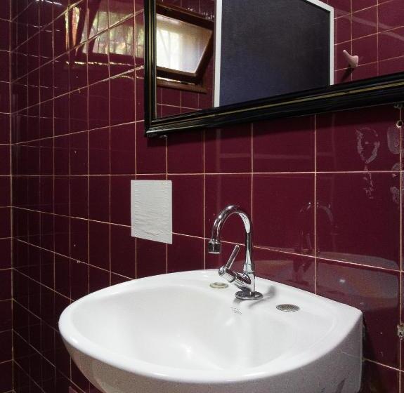 מיטה בחדר משותף, Steve S House