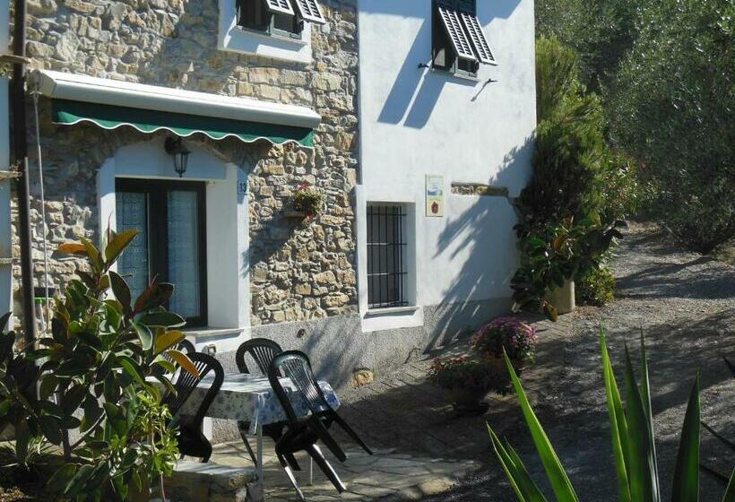 2间卧室的房子, Uliveto