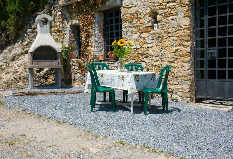 2间卧室的房子, Uliveto