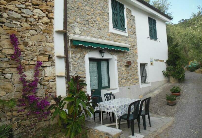 2间卧室的房子, Uliveto