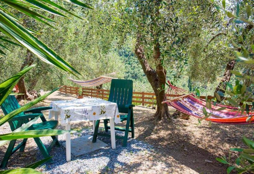 2间卧室的房子, Uliveto