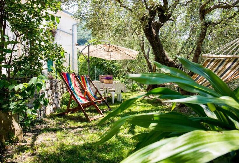 2间卧室的房子, Uliveto