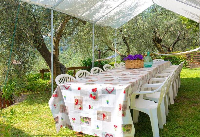 1间卧室的房子, Uliveto