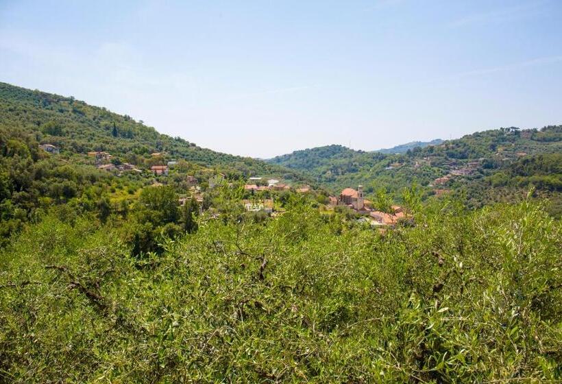 2间卧室的房子, Uliveto