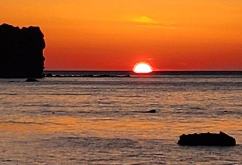 Chambre Standard Vue Mer, ニャー助のホテルん