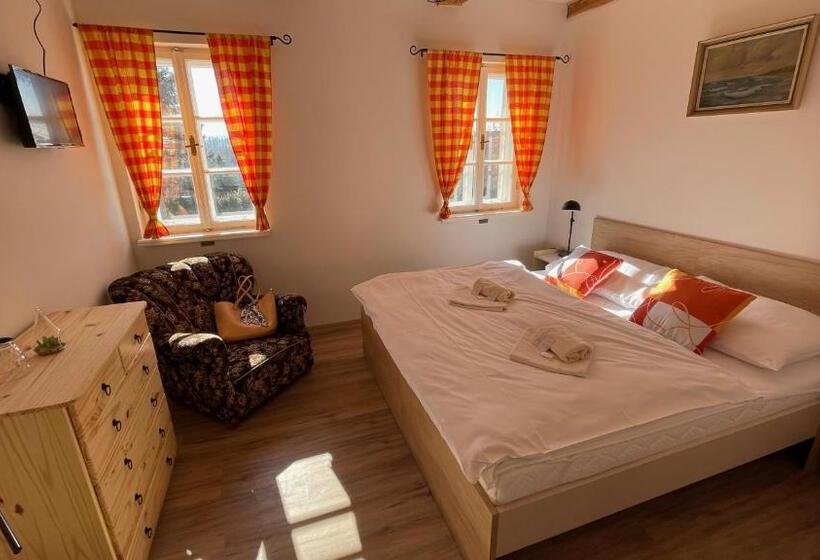 חדר סטנדרט עם טרסה, Penzion Pod Devítkou