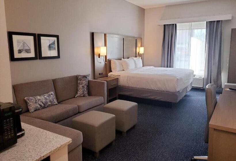 장애인을 위한 킹사이즈 침대 스탠다드 룸, Comfort Suites Scottsdale Talking Stick Entertainment District