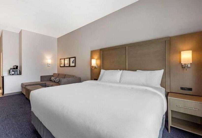 장애인을 위한 킹사이즈 침대 스탠다드 룸, Comfort Suites Scottsdale Talking Stick Entertainment District