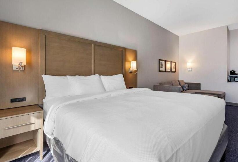 장애인을 위한 킹사이즈 침대 스탠다드 룸, Comfort Suites Scottsdale Talking Stick Entertainment District