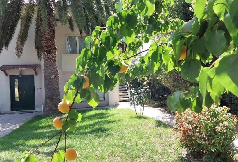 اتاق خانوادگی, Affittacamere Tory