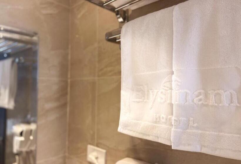 اتاق استاندارد با تخت بزرگ, Elysinam Boutique Hotel Ha Long