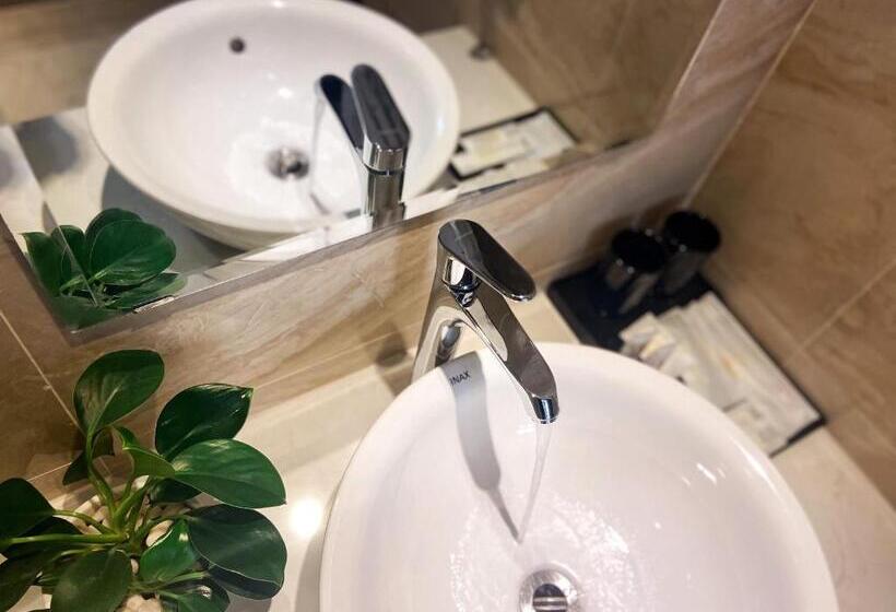 اتاق استاندارد, Elysinam Boutique Hotel Ha Long