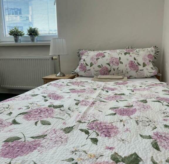 스탠다드 싱글 룸, Penzion Ječmínek