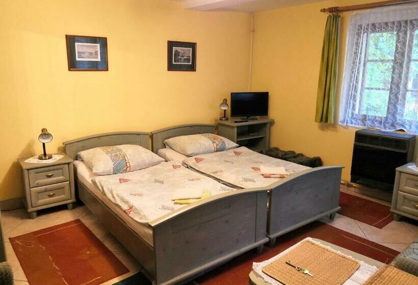 1階の1ベッドルームアパートメント, Apartmány V Centru U Moravců