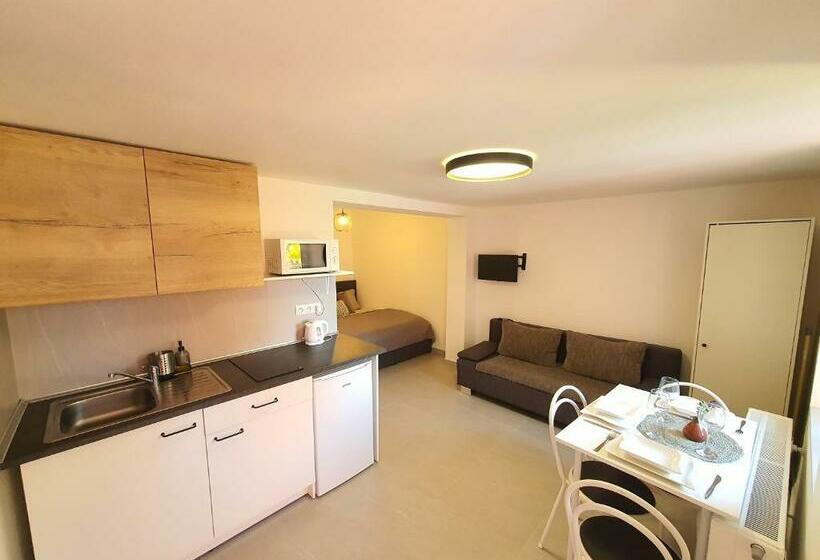 شقة غرفة واحدة مطلة على الحديقة, Apartmány černý Kohout