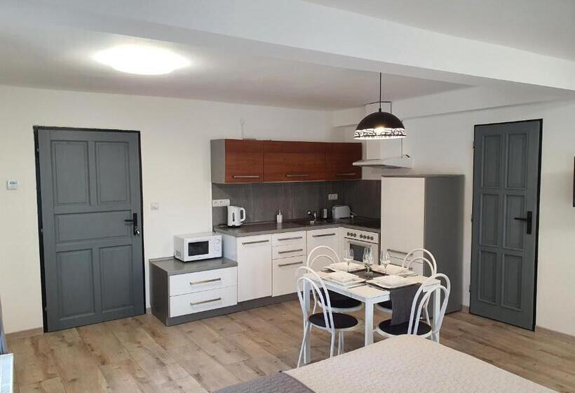 家庭套房, Apartmány černý Kohout