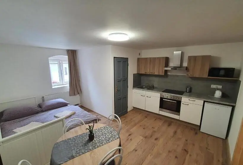 １ベッドルームのデラックスアパートメント, Apartmány černý Kohout