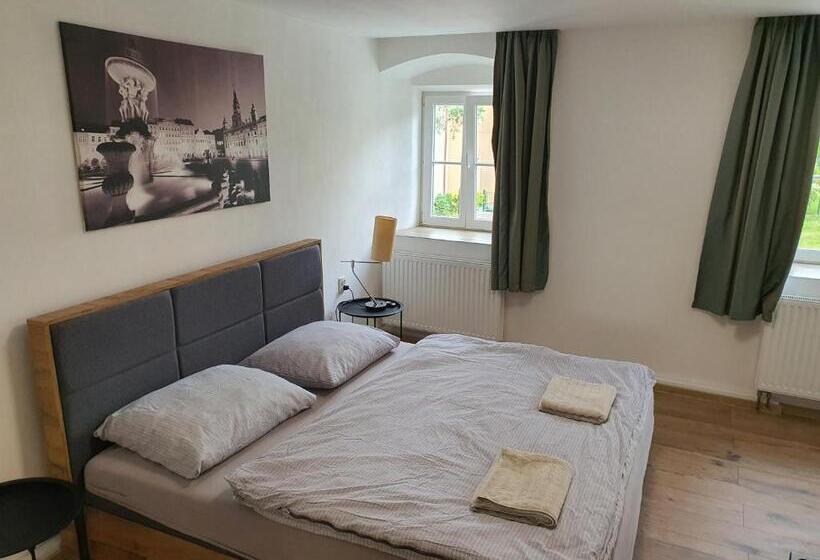 شقة ديلوكس غرفة واحدة, Apartmány černý Kohout