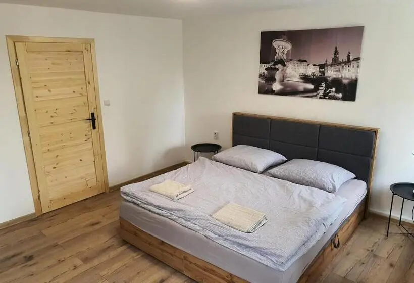 １ベッドルームのデラックスアパートメント, Apartmány černý Kohout