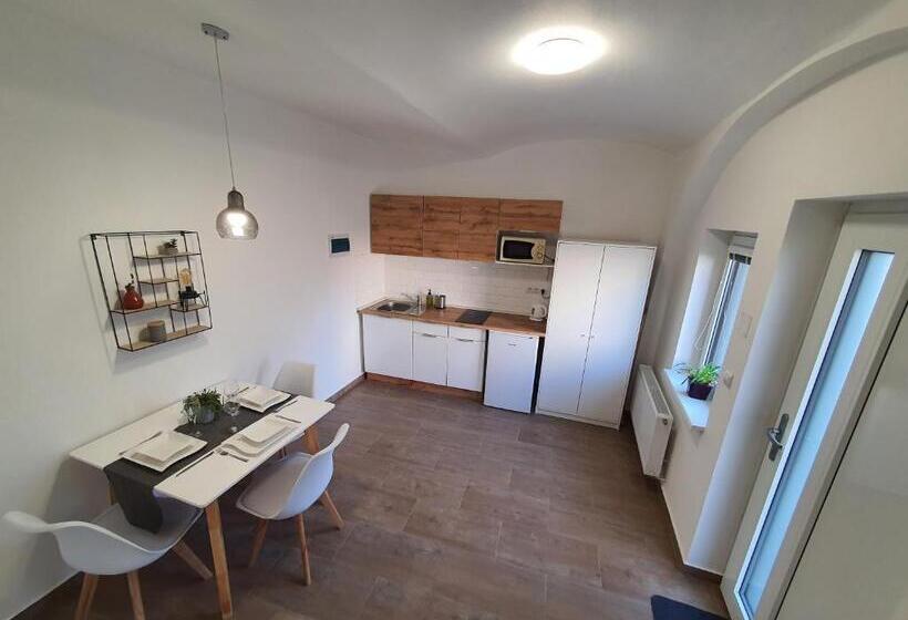 شقة سوبريور غرفة واحدة, Apartmány černý Kohout