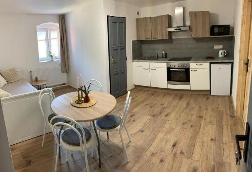 شقة ديلوكس غرفة واحدة, Apartmány černý Kohout