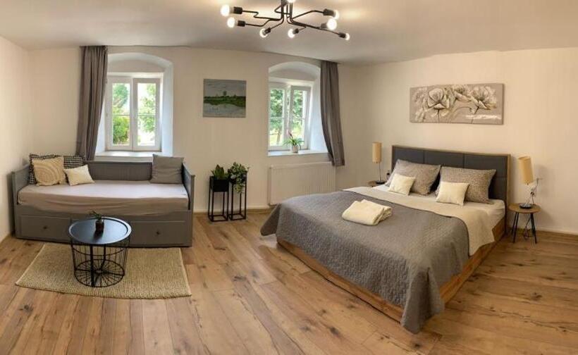 小型豪华套房, Apartmány černý Kohout