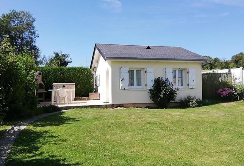 إستوديو قياسى مزودة بتراس, Les Hirondelles Bleues