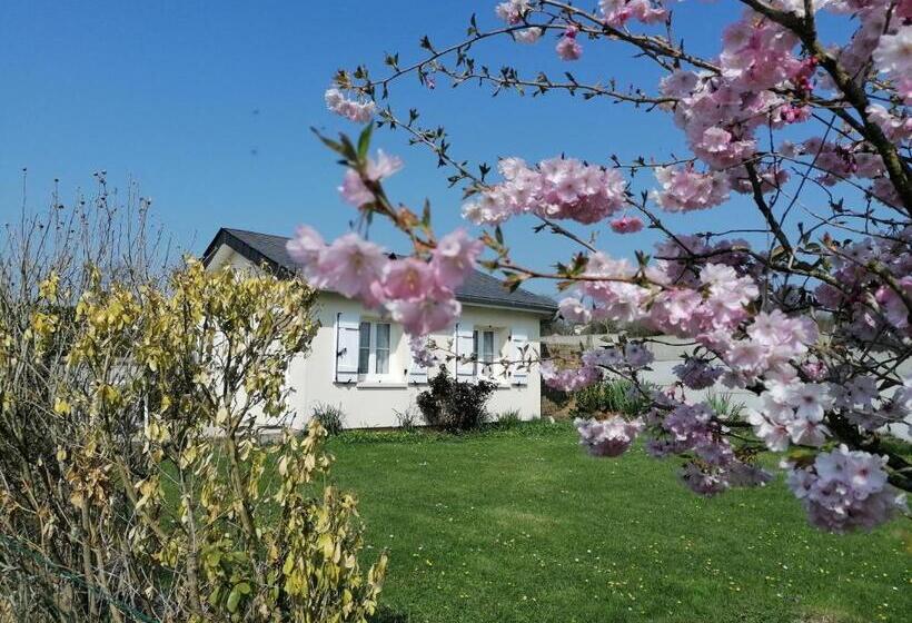 إستوديو قياسى مزودة بتراس, Les Hirondelles Bleues