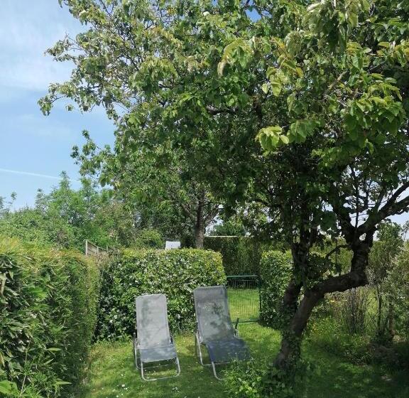 شقة غرفة واحدة, Les Hirondelles Bleues