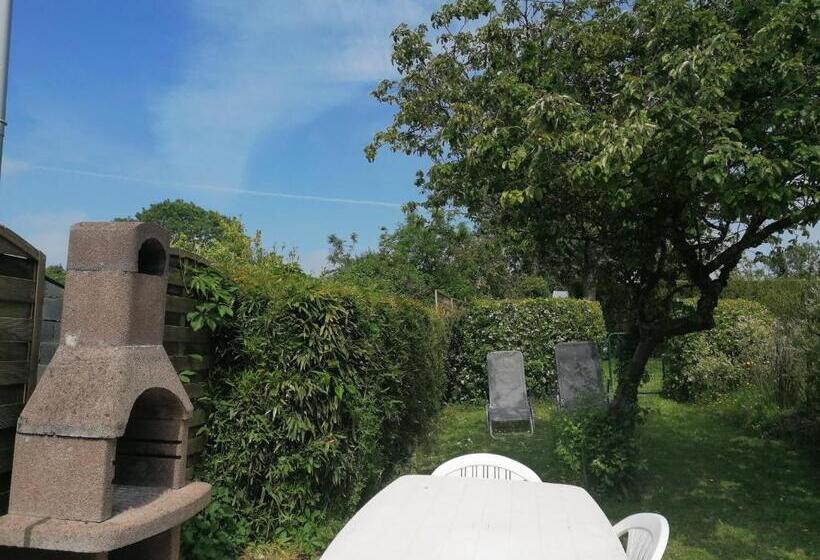 شقة غرفة واحدة, Les Hirondelles Bleues