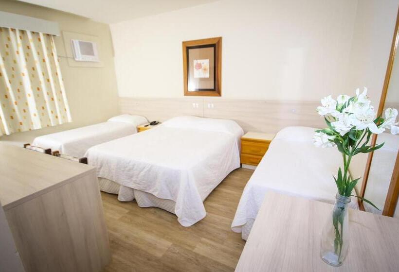 四人标准间, Geranium