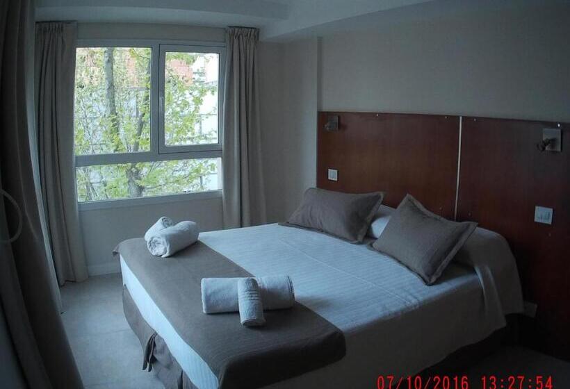 스탠다드 룸, Novi