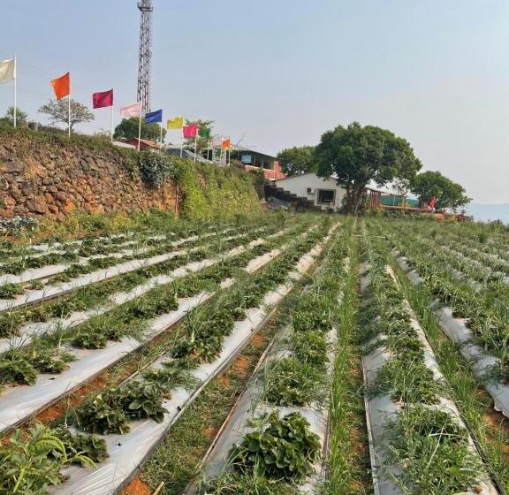 Семейный Номер Superior, Heavens Edge Resort