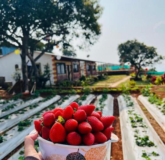 Семейный Номер Superior, Heavens Edge Resort