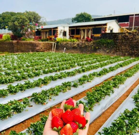 Семейный Номер, Heavens Edge Resort
