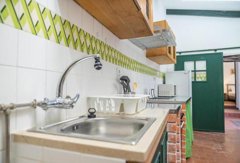 1间卧室的房子, Casa António Moreira