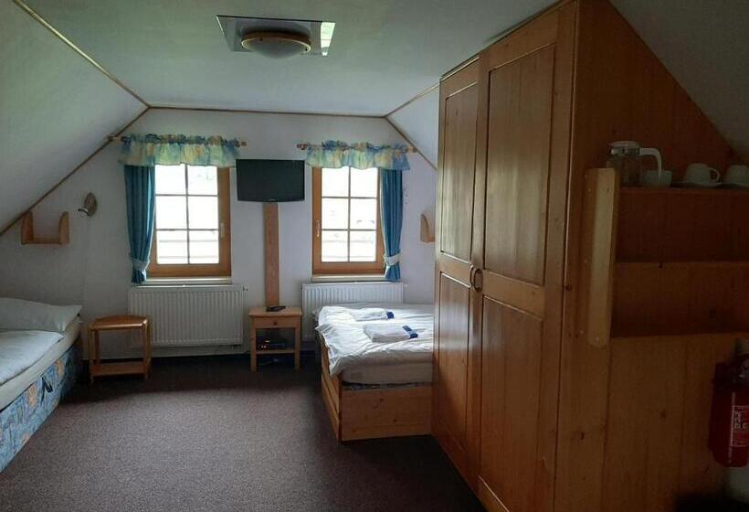 经济四人房间, Penzion Sehnoutkovi