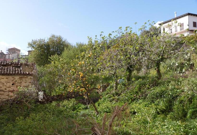 エコノミールーム, Cilento Suite   Louis Xxii