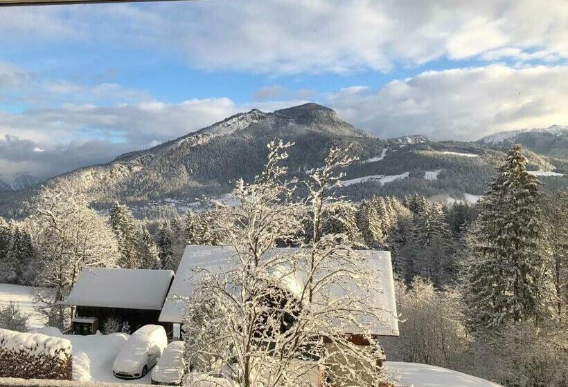 דירת חדר דלוקס, Apartment Goisernperle