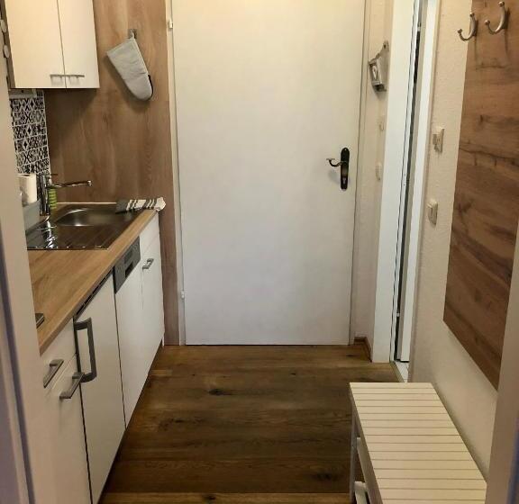 דירת חדר דלוקס, Apartment Goisernperle