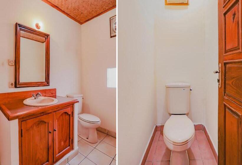 غرفة ديلوكس, Oyo 3836 Vedanta Villa