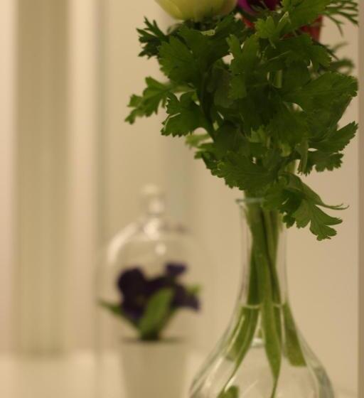 חדר דלוקס, Moro 34