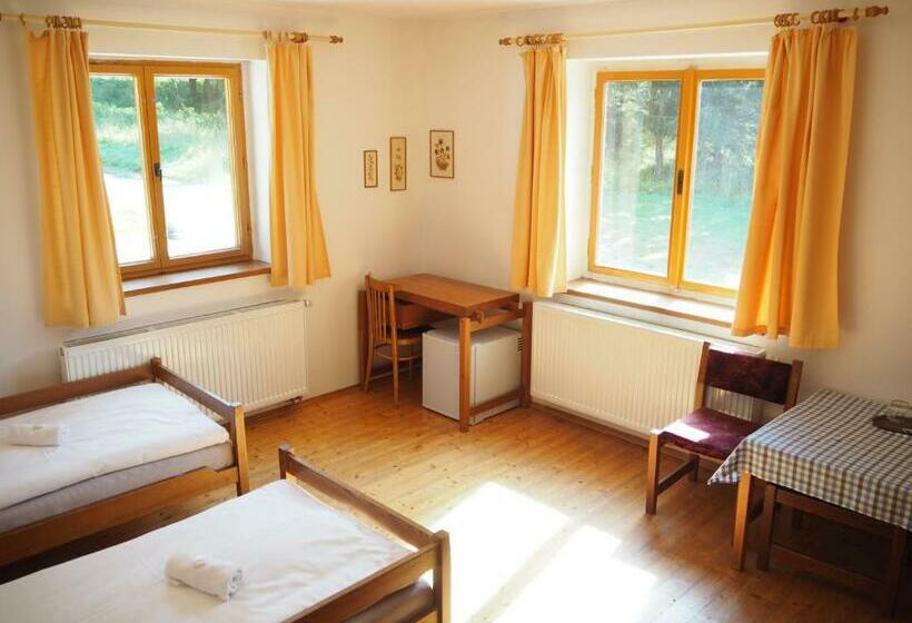 Négyágyas Standard Szoba, Pension Erban