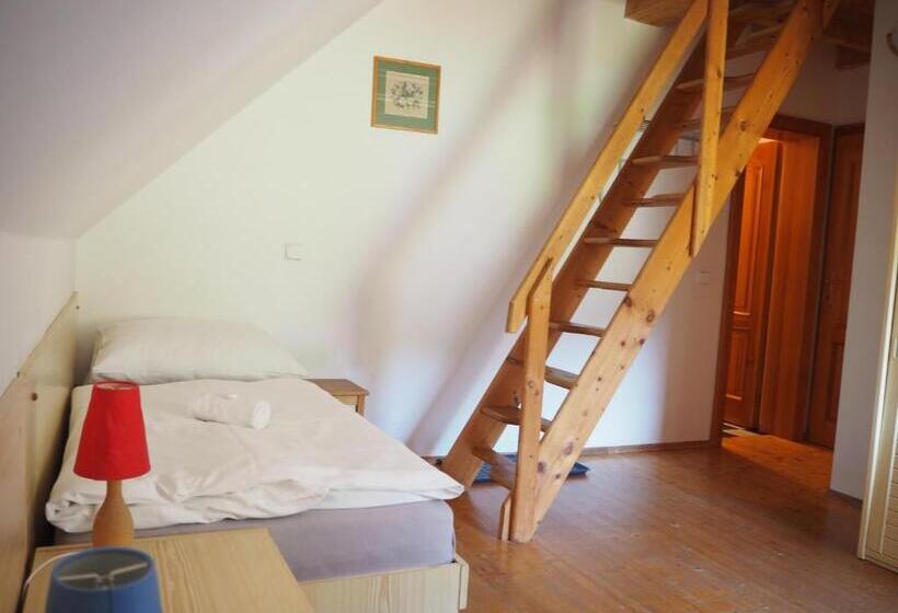 Négyágyas Standard Szoba, Pension Erban