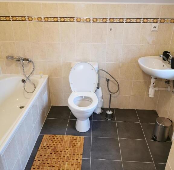 家庭间, Penzion Loučka Bystřice