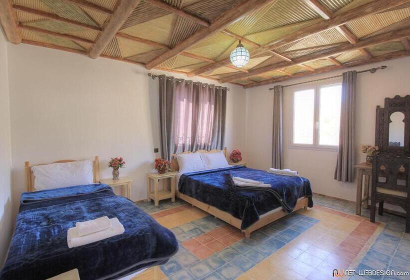 اتاق لوکس, New Mars Dades