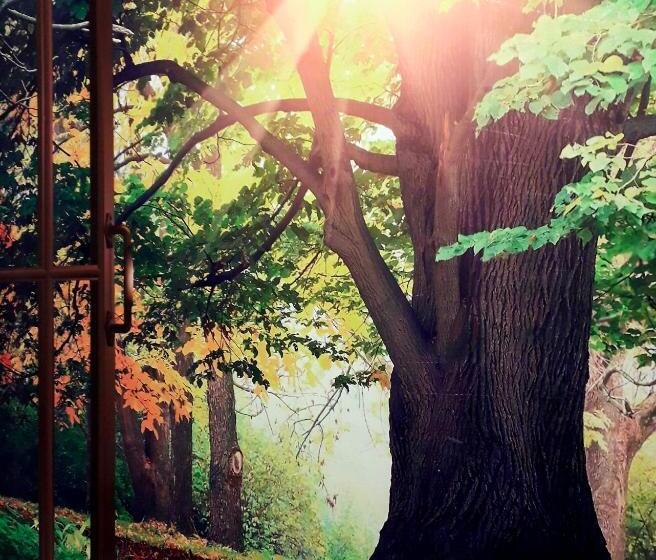 غرفة قياسية, Insula B&b