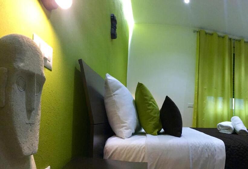 Номер Стандарт, Insula B&b