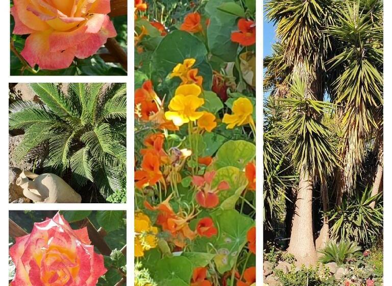 带花园景观的标准三人间, B&b Casanera